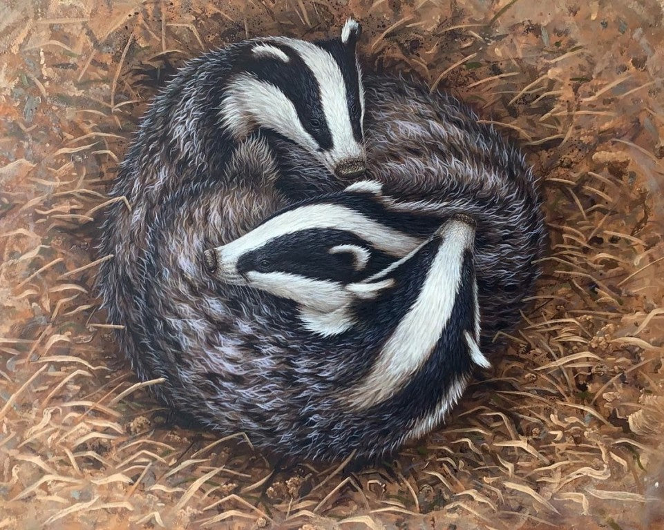 Sleeping badgers | my painting story