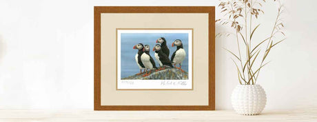 Gifts for puffin lovers