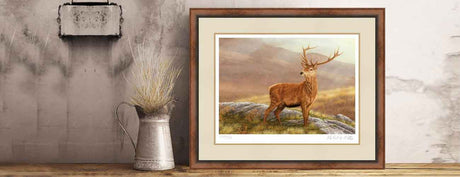 Art for stag lovers