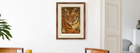 Art for tiger lovers