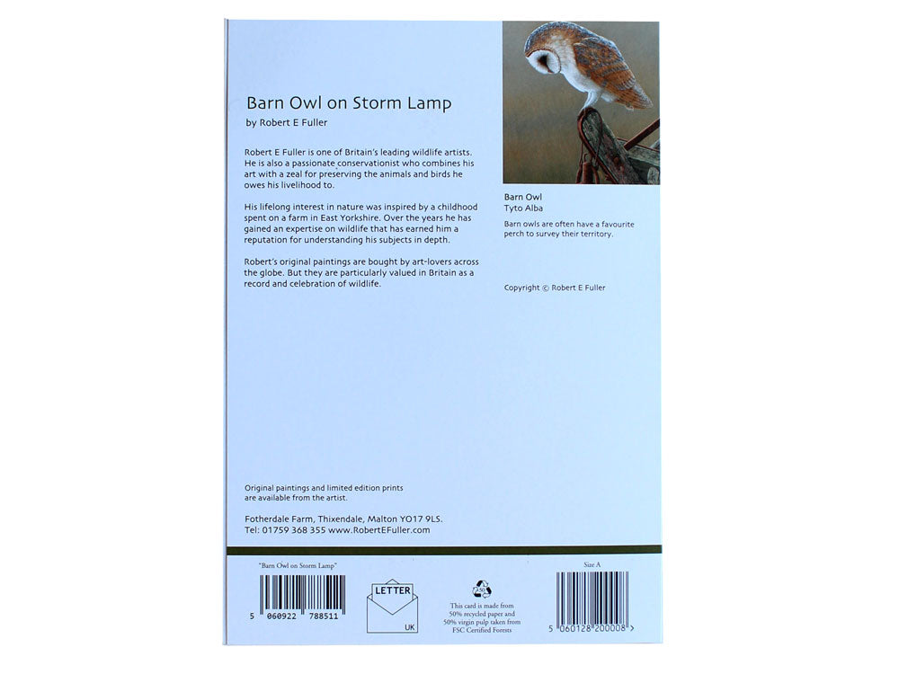 1000-x-750-Barn-Owl-Back