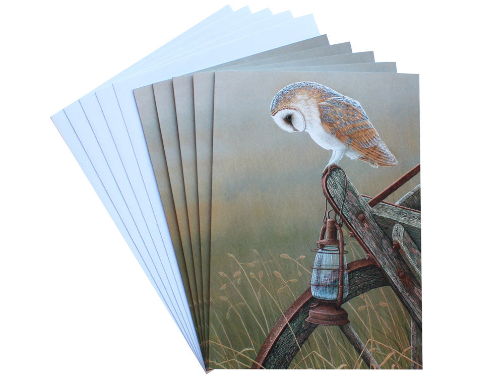 1000-x-750-Barn-Owl-Fan