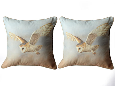 1000-x-750-Barn-Owl-Pair-cushions