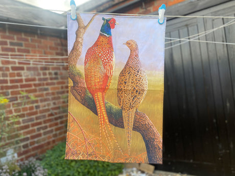 1000-x-750-Courting-Pheasants-Tea-Towel-Outdoor-Lifestyle