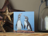 1000-x-750-Galapagos-Penguin-Shelf-Lifestyle