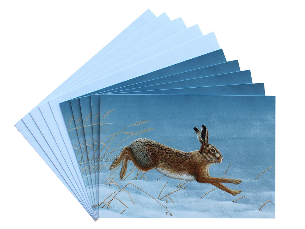 1000-x-750-Hare-Fan