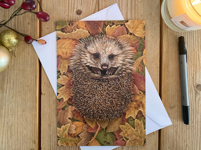 1000-x-750-Hedgehog-in-Autumn-Leaves-Christmas-Card