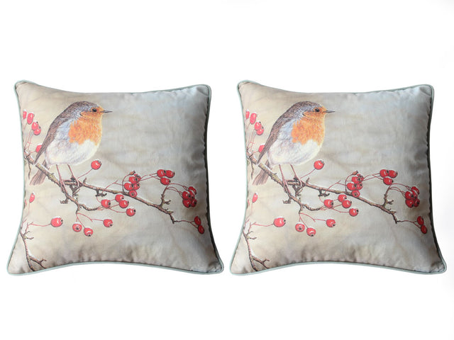 1000-x-750-Robin-Pair-cushion