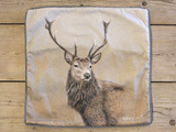 1000-x-750-Stag-Cushion-Cover