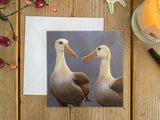 1000-x-750-Waved-Albatros-Christmas-Card