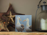 1000-x-750-Waved-Albatross-Shelf-Lifestyle