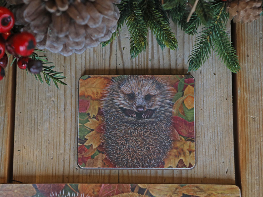 1000X750-Hedgehog-Coaster-Lifestyle-WEB