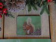 1000X750-Squirrel-Coaster-Lifestyle