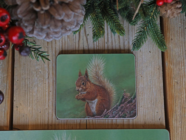 Squirrel | Placemat and Coaster