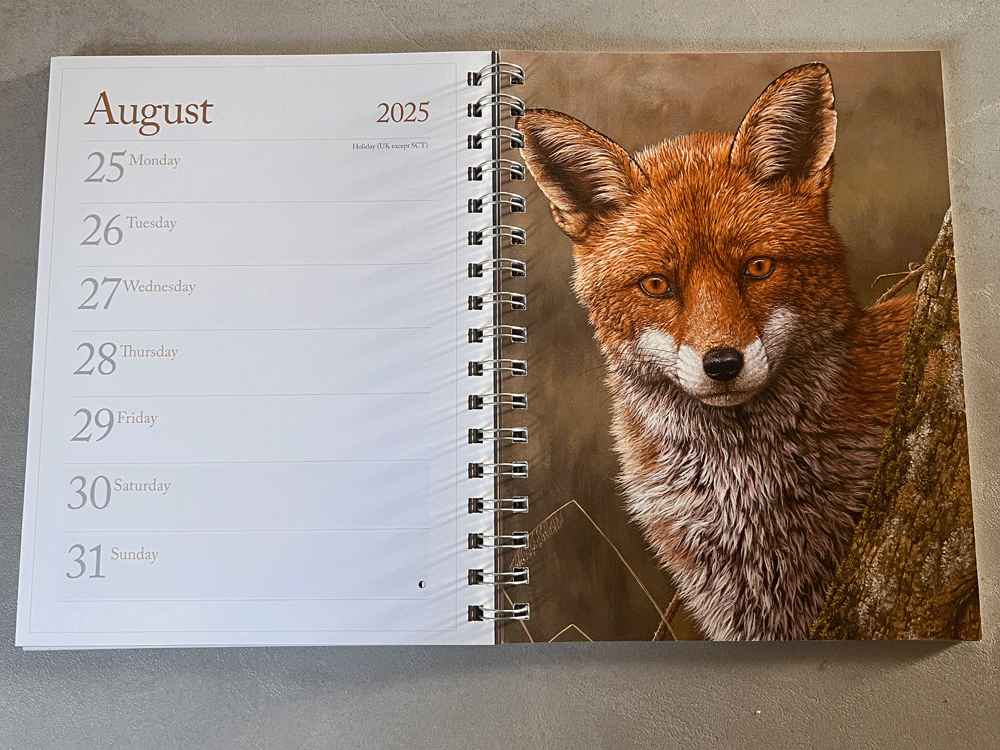 1000x750-A5-diary-fox