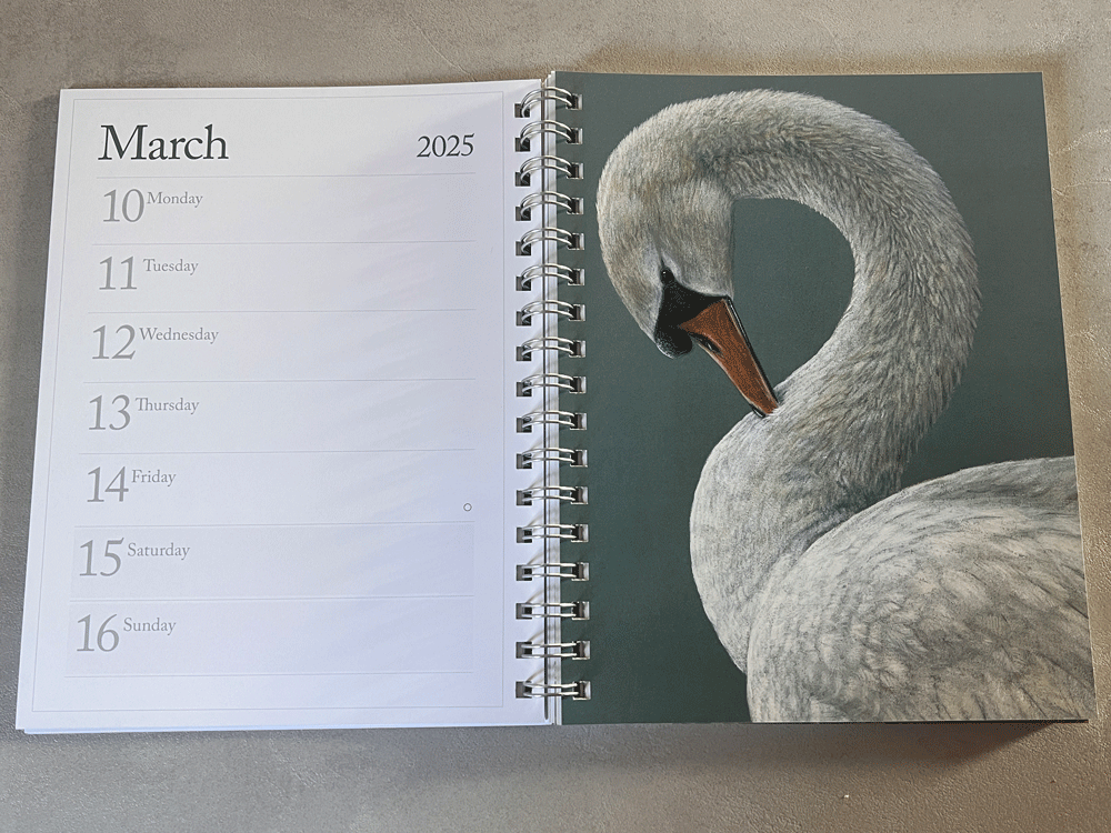 1000x750-A5-diary-swan