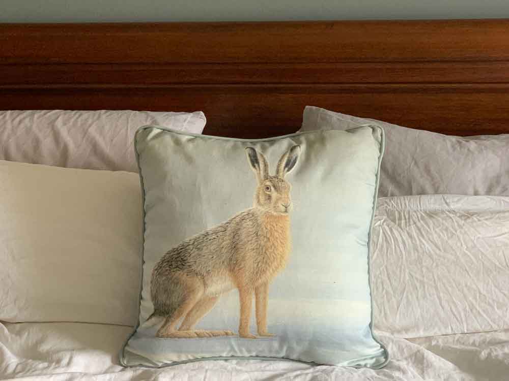 Hare cushion