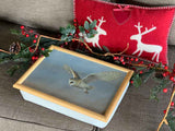 Barn Owl Laptray  | Luxury Bean Bag Cushioning