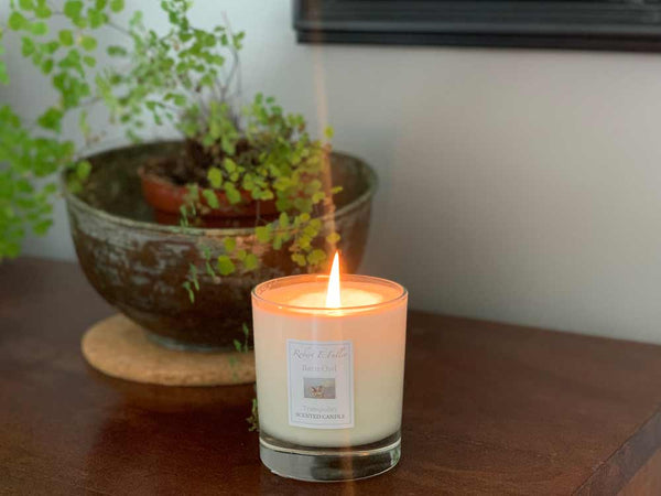 Barn Owl | Luxury Scented Candle