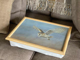 1000x750-barn-owl-laptray-brown-sofa-IMG_4701