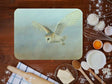 1000x750-barn-owl-worktop-saver--brown-background