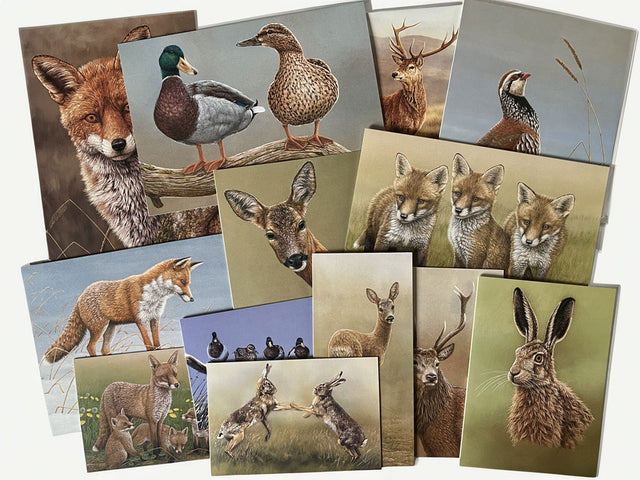 1000x750-country-cards-mixed-pack