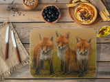 1000x750-fox-worktop-saver-iStock-1257004997-copy