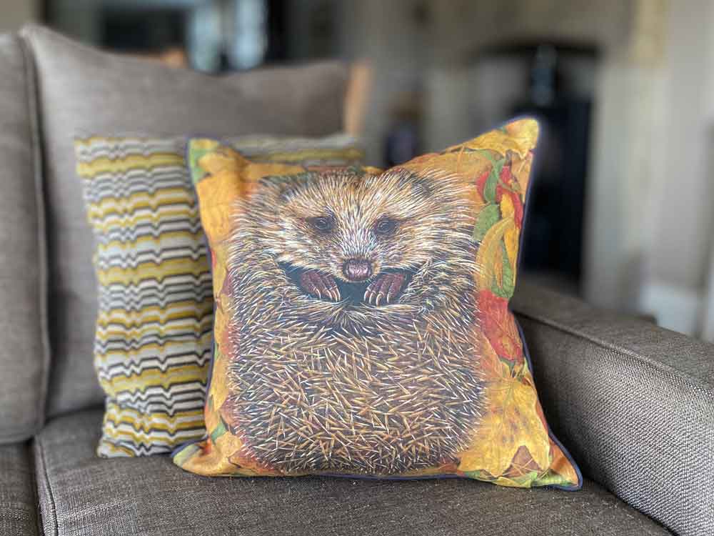 Hedgehog Cushion with Inner Pad Robert E Fuller
