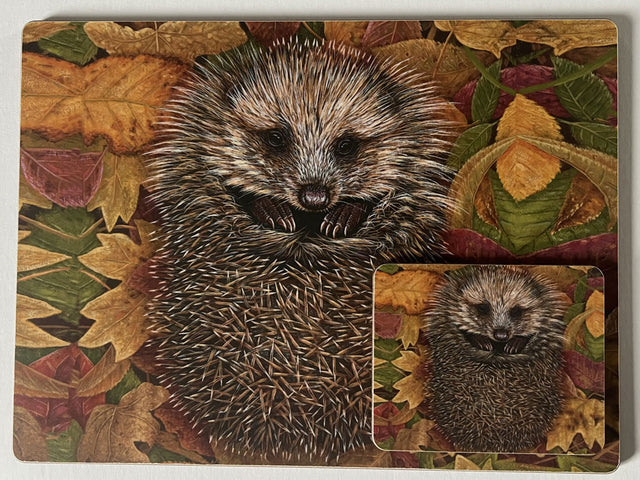 1000x750-hedgehog-placemat-coaster