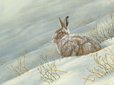 1000x750-mountain-hare-xmas-card-against-white-Untitled-1