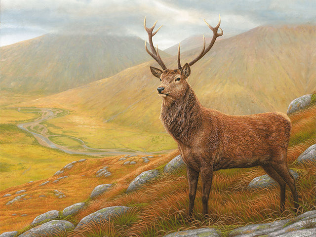 1000x750-red-stag-of-glencoe-xmas-card-against-white-Untitled-1