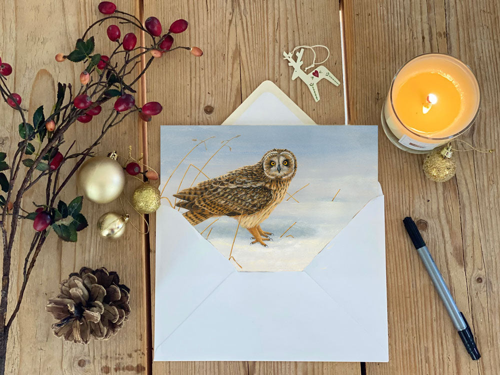 1000x750-short-eared-owl-snow-xmas-card-flat-lay-IMG_2433