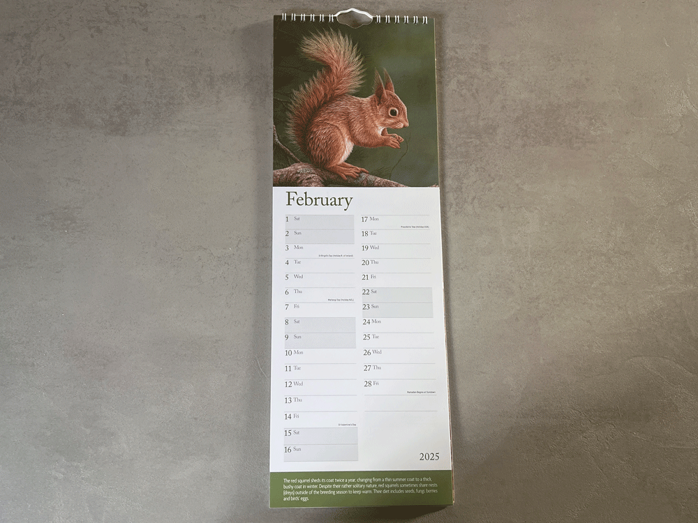 1000x750-slim-caendar-squirrel