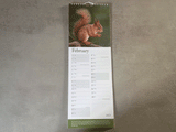 1000x750-slim-caendar-squirrel