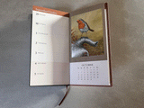 1000x750-slim-diary-robin