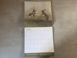 1000x750-square-calendar-hare