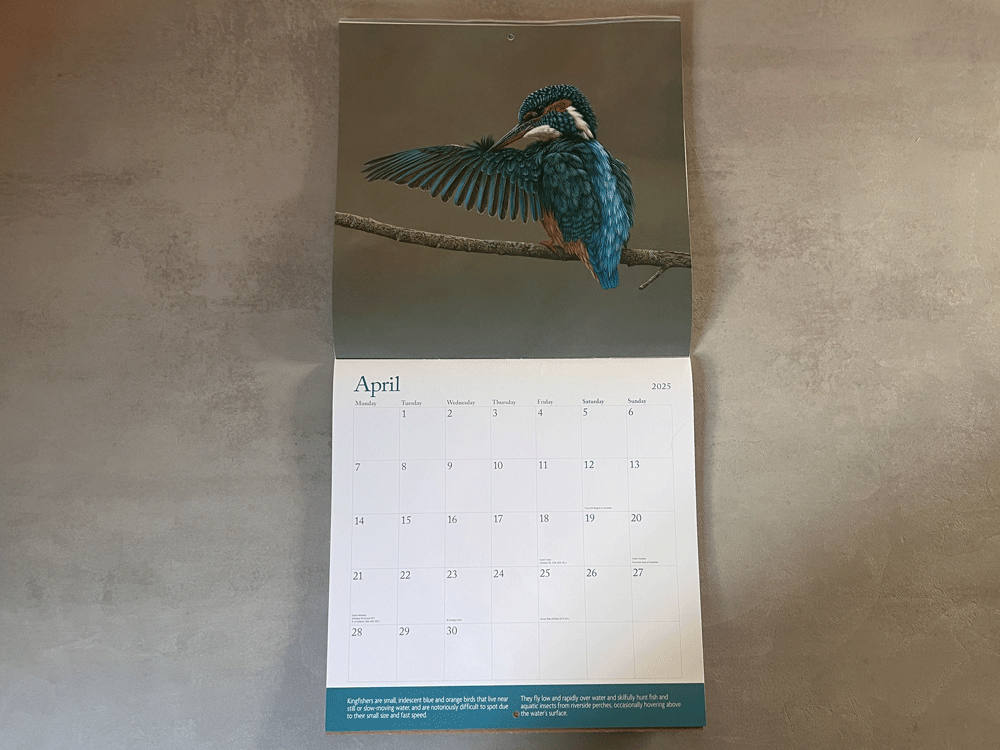 1000x750-square-calendar-kingfisher