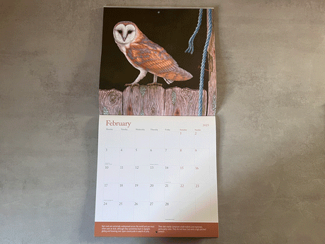 1000x750-square-calendar-owl