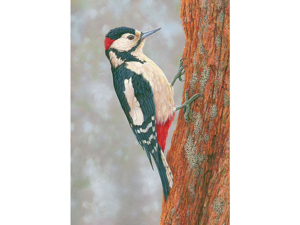 1000x750-woodpecker-fotherdale-xmas-card-against-white-Untitled-1