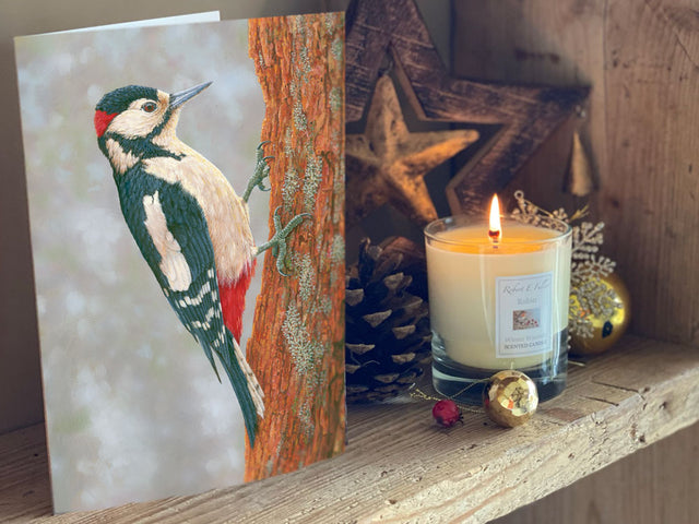 1000x750-woodpecker-fotherdale-xmas-card-shelf-IMG_2308