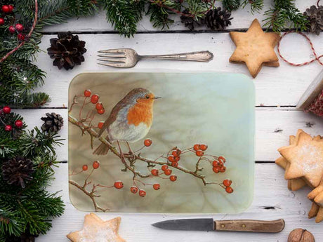 1000x750-worktop-saver---robin--christmas-iStock-887389364-copy