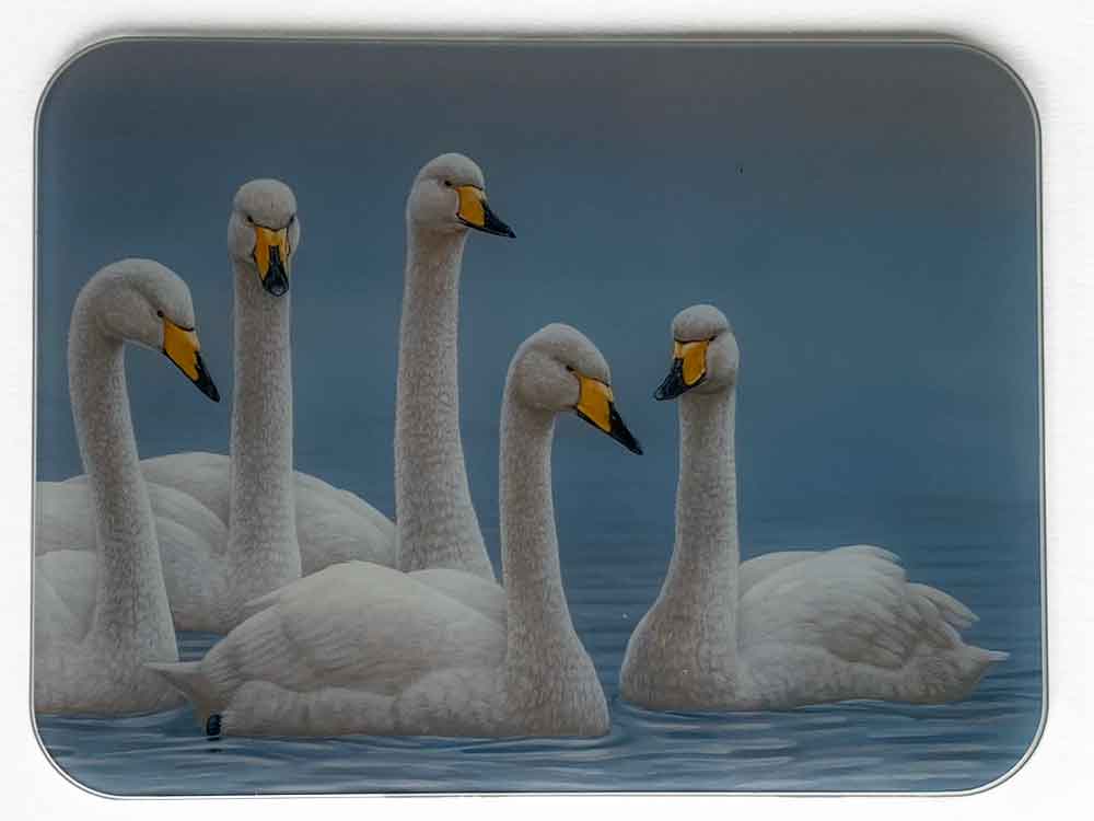 Swans Glass Worktop Saver | Luxury Chopping Board