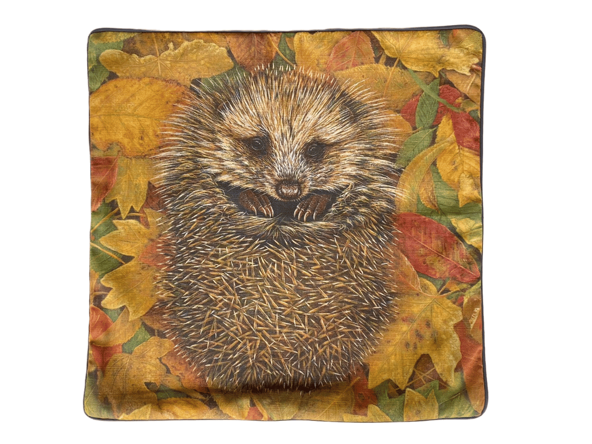 Hedgehog cushion