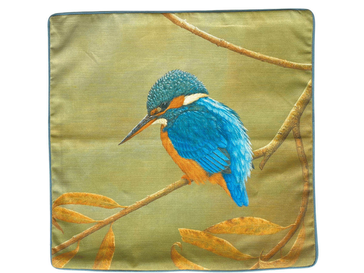 Kingfisher cushion