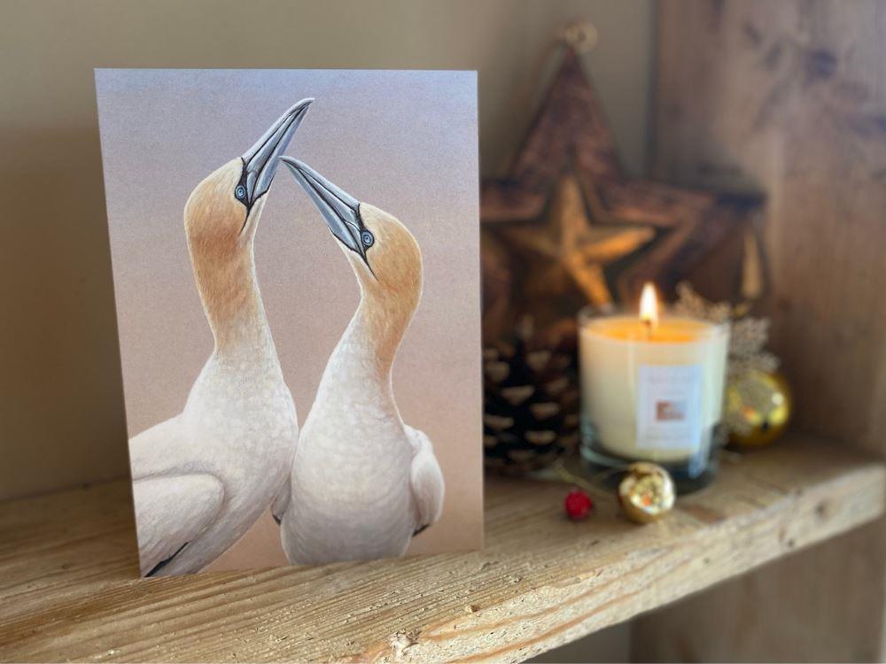 christmas-gannets-sly-pointing-lifestyle