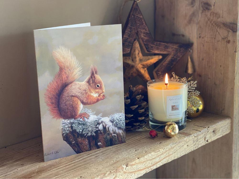 christmas-squirrel-nutkin-lifestyle