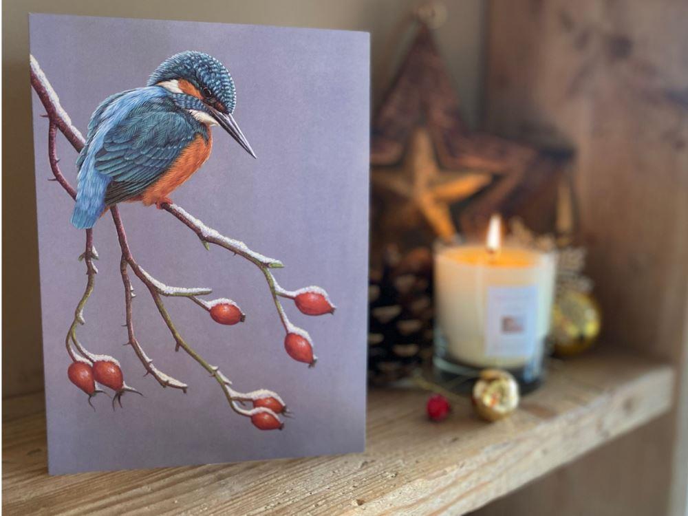 Christmas-kingfisher-winter-watcher-lifestyle