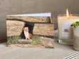 small-blank-greetings-cards-weasel-wall-lifestyle