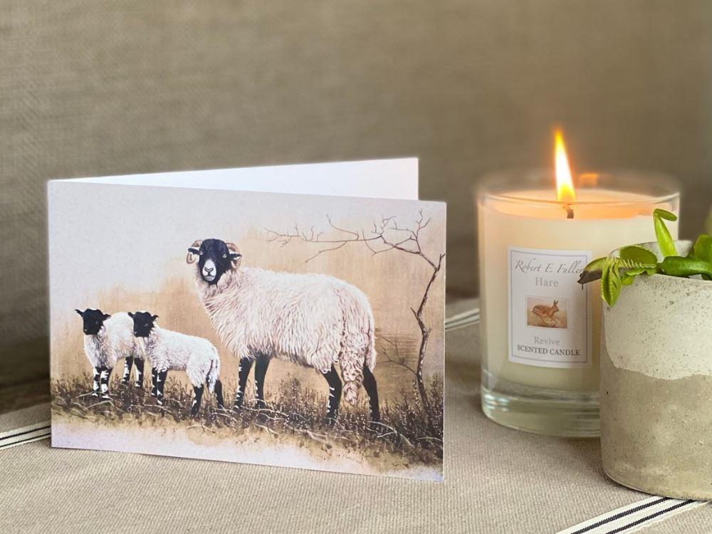 Small-blank-greetings-cards-sheep-and-lambs-lifestyle