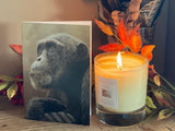 small-blank-greetings-cards-chimp-lifestyle